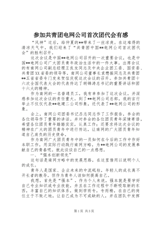 参加共青团电网公司首次团代会有感