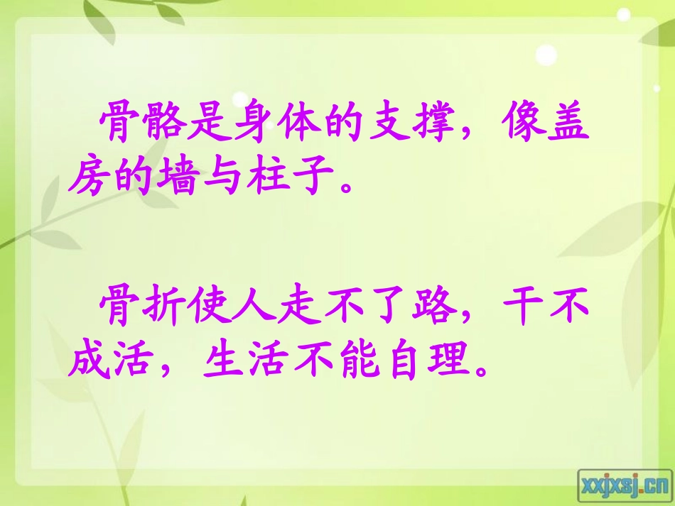 保护我们的骨骼和_第2页