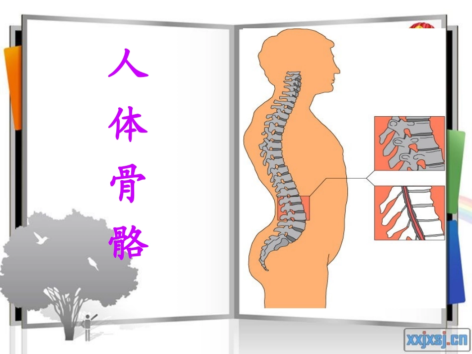保护我们的骨骼和_第3页