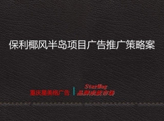 保利椰风半岛整合推广策略案