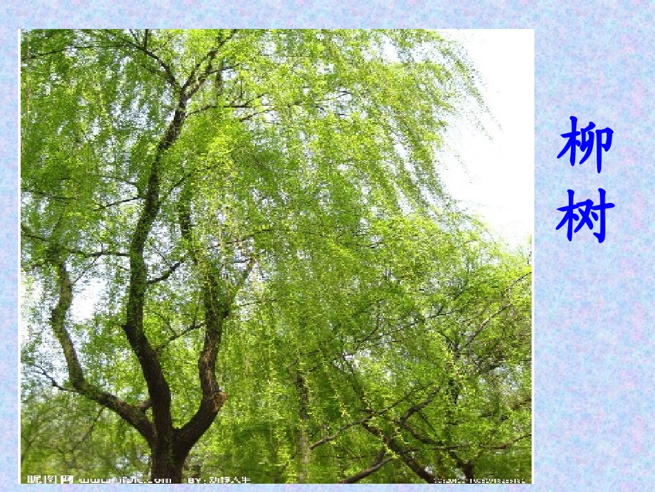 2015春湘教版语文一下《绝句》ppt课件2_第1页