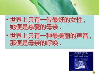 慈母情深ppt