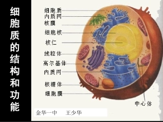 使线粒体与周围的细胞质基质分开内膜与嵴