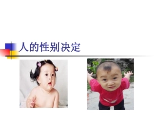 体细胞中常染色体和性染色体的数目生殖细胞中呢