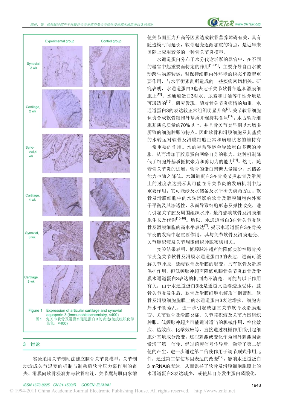 低频脉冲超声干预膝骨关节炎模型兔关节软骨及滑膜水通道蛋白3的表达_唐进_第3页