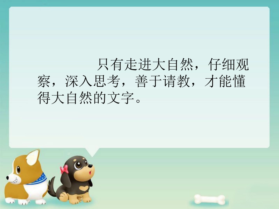 《大自然的文字》句子赏析_第2页
