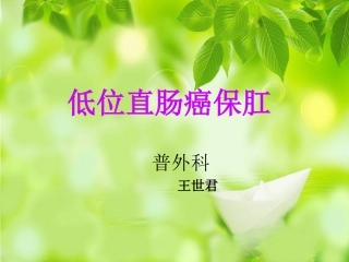 低位直肠癌保肛