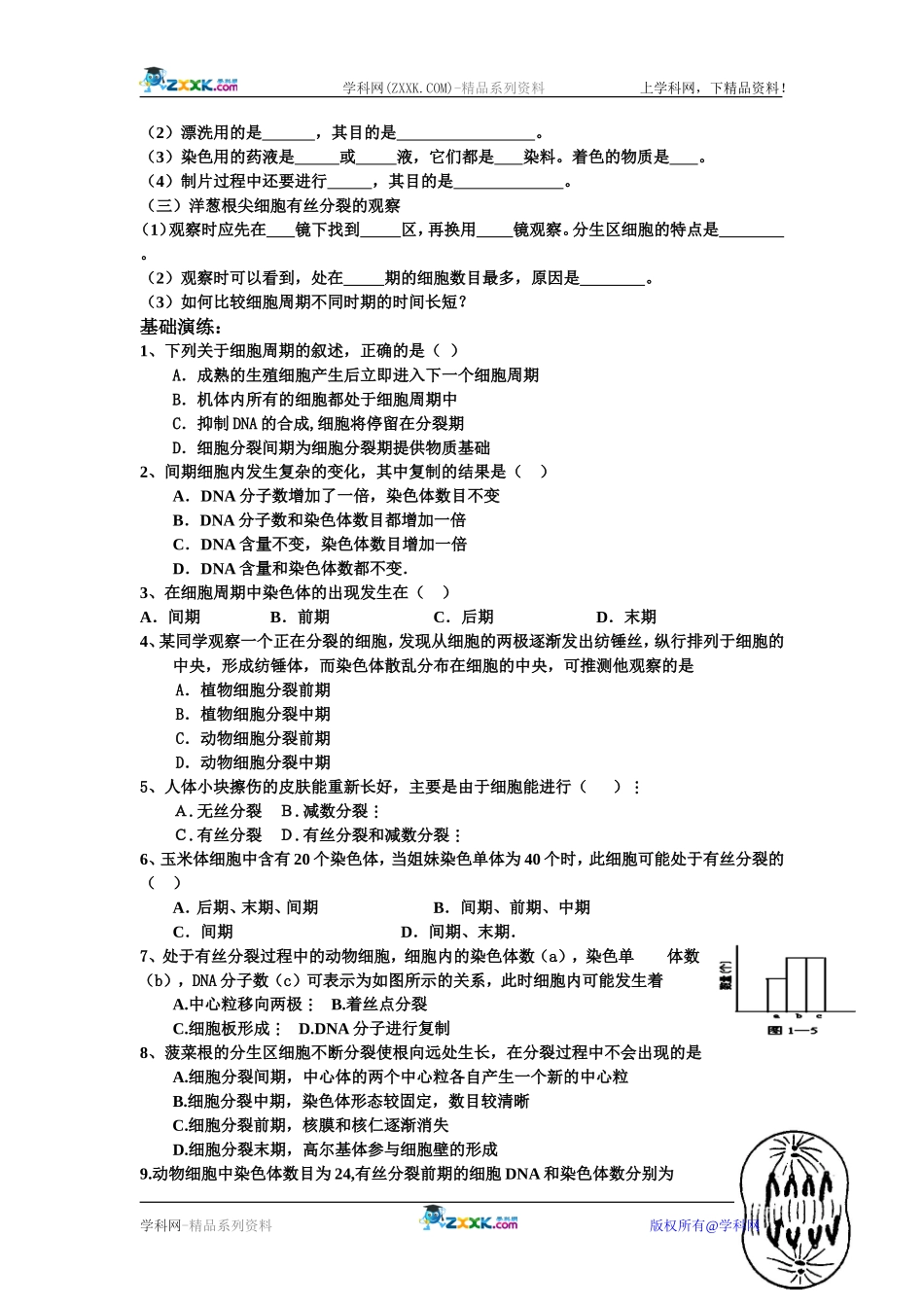 必修1细胞的增殖学案_第3页