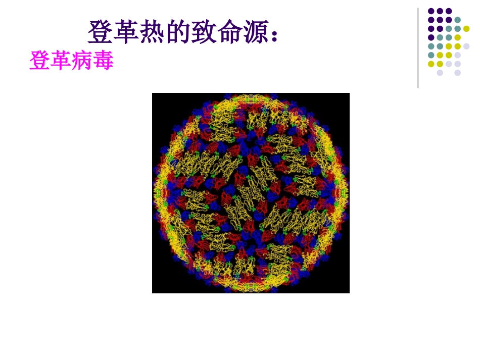 传染病——登革热修改_第3页