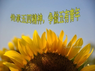 传承五四精神-争做五有青年