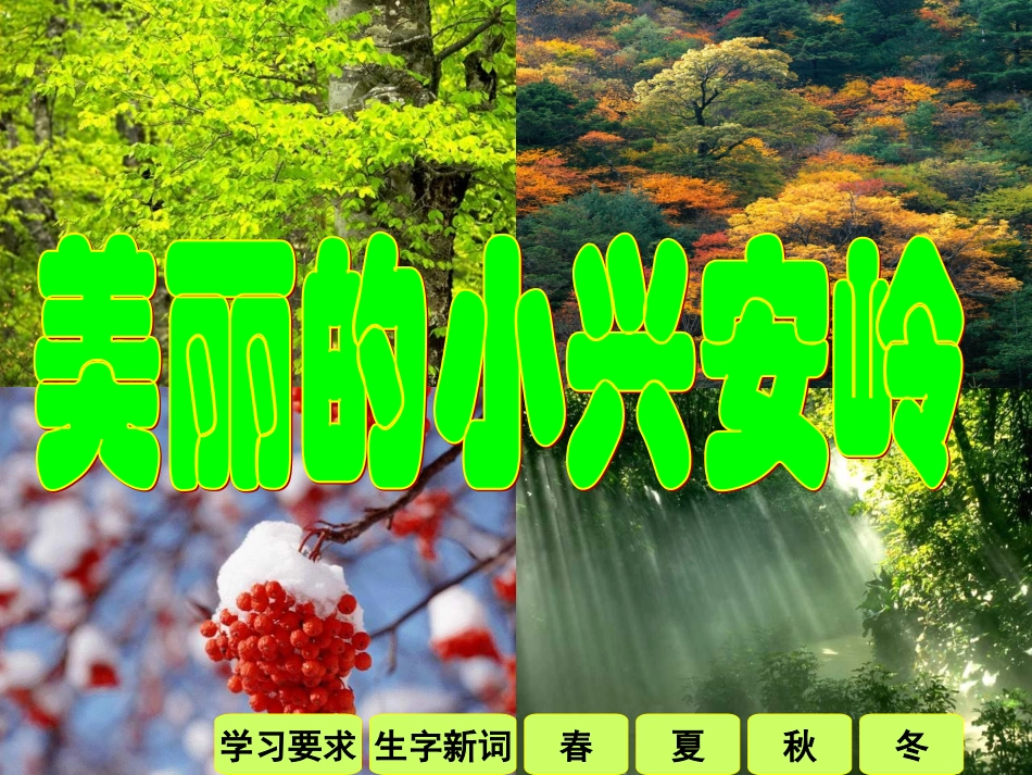 《美丽的小兴安岭》课件03.ppt_第2页