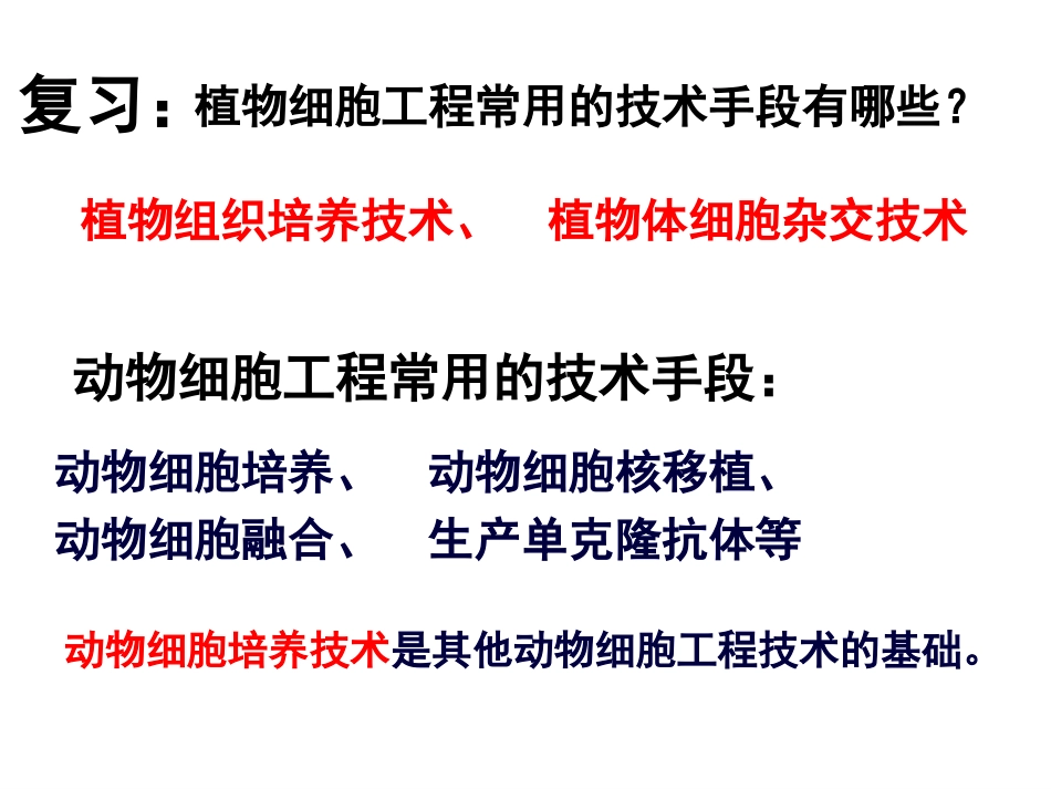优质课动物细胞培养和核移植技术_第1页