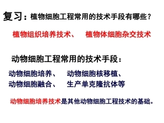 优质课动物细胞培养和核移植技术