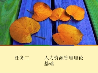 任务二人力资源管理的理论基础