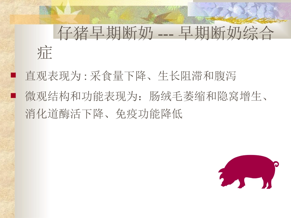 仔猪营养知识_第2页