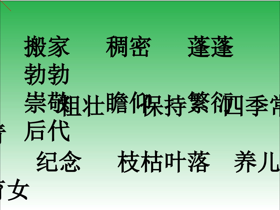 宋庆龄故居的樟树2_第3页