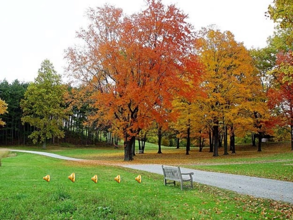 听听秋的声音333_第1页