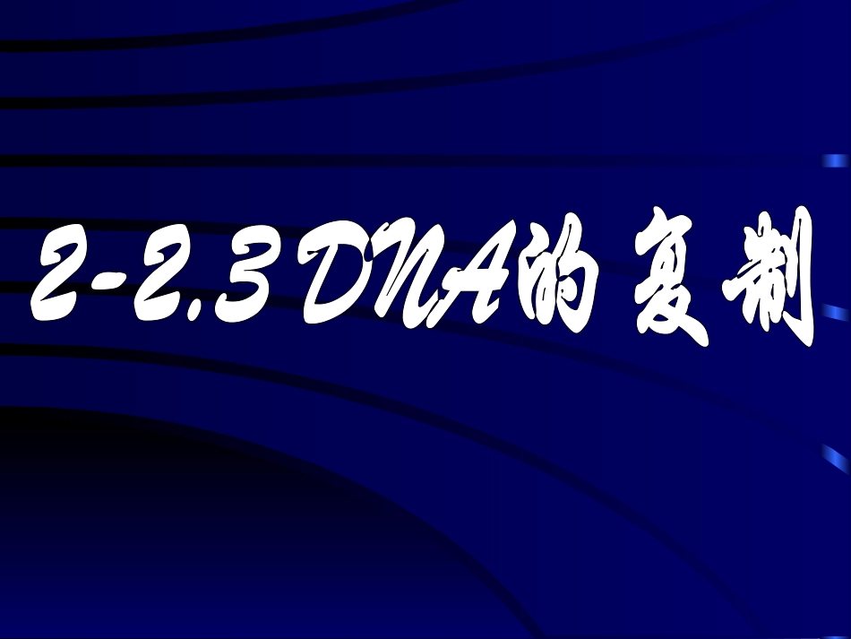 2-23.3《DNA的复制》课件3_第1页