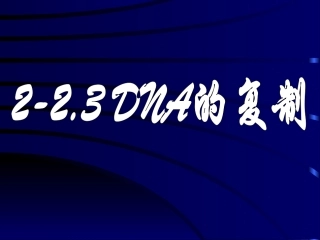 2-23.3《DNA的复制》课件3