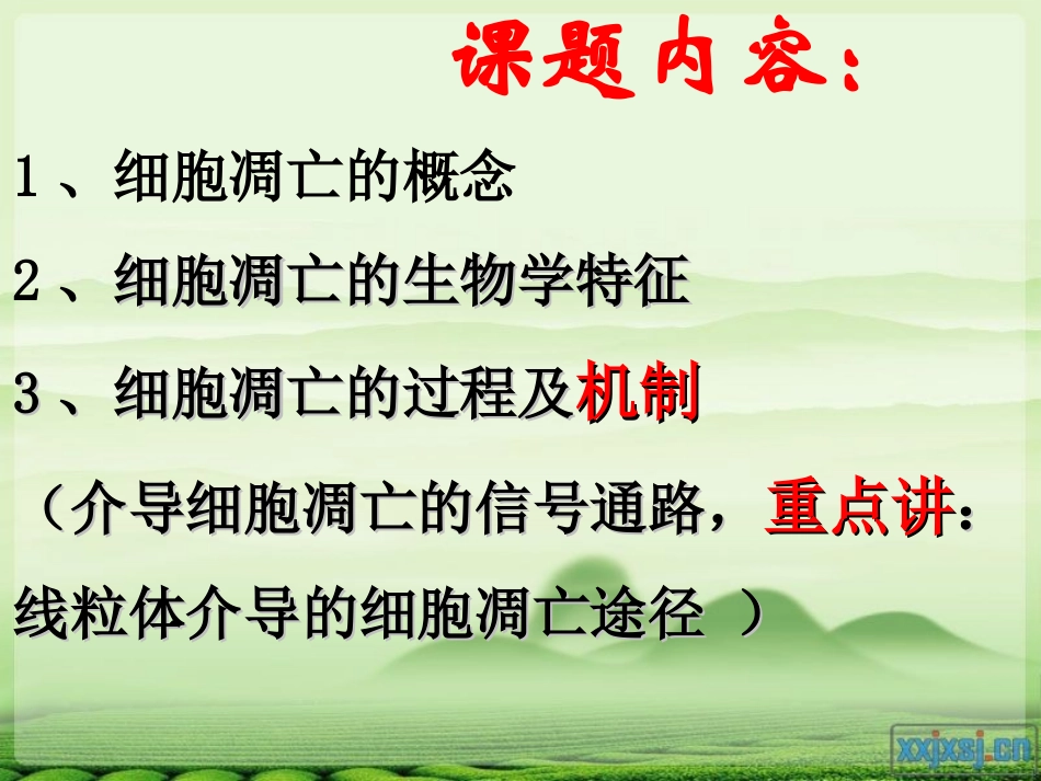 介导细胞凋亡的信号通路_第2页