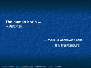 人类大脑的奇异反应