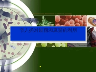 人类对细菌和真菌的利用ppt2