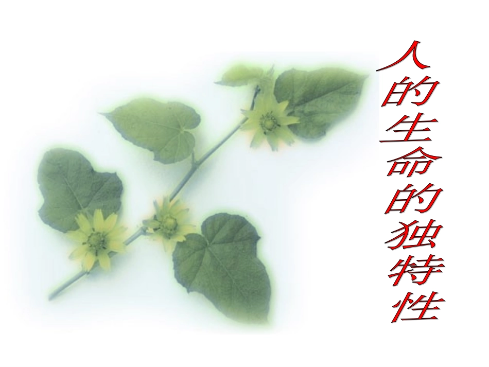 人的生命的独特性(精)_第1页