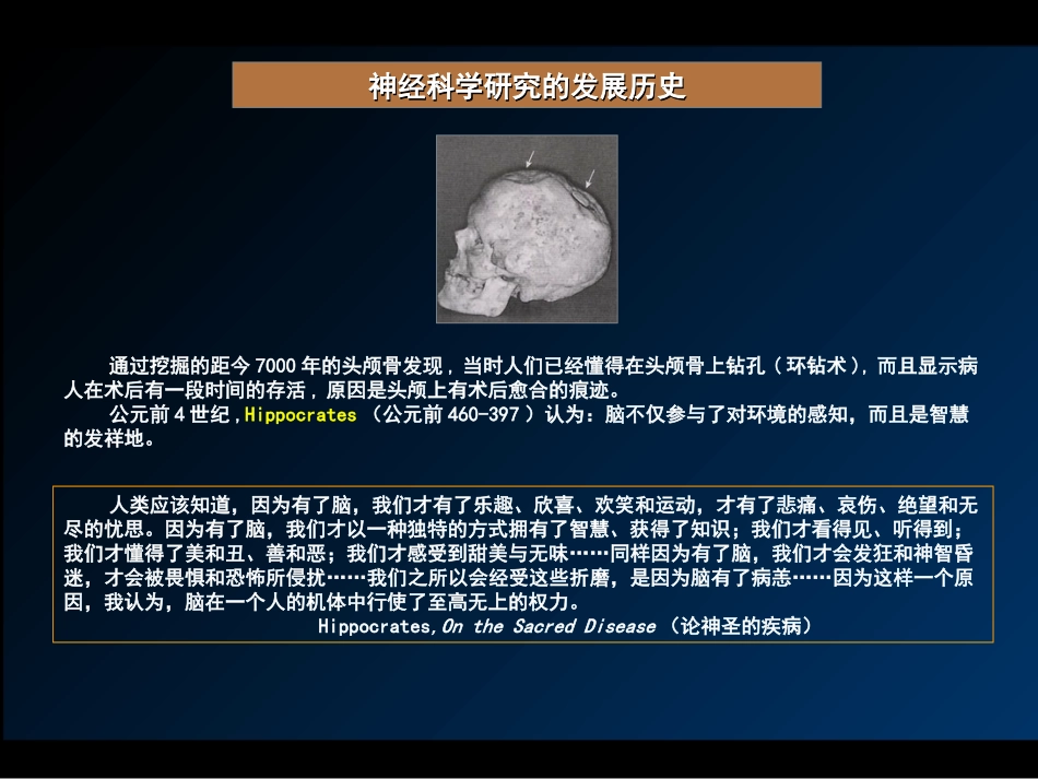 人类大脑与记忆详解_第2页