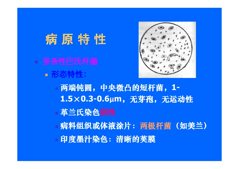 人畜共患-巴氏杆菌_第3页