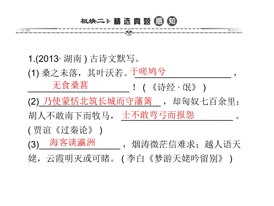 湘教考苑《专题八默写古代诗文》_第3页