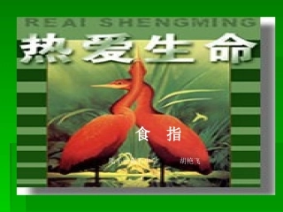 人最宝贵的东西是生命