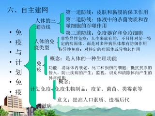 人教版八年级下第八单元第二章用药和急救(共45张PPT)