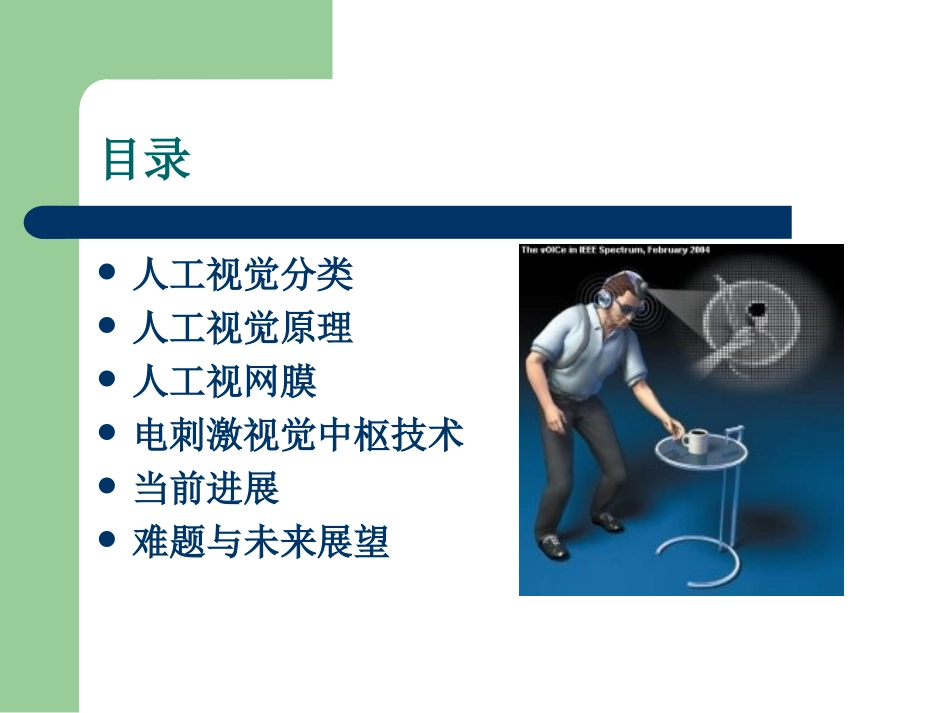 人工视觉原理概述与进展及展望_第2页