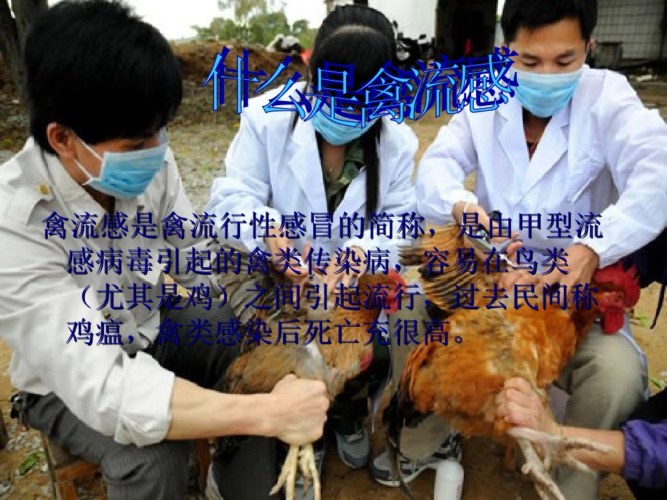 人感染-H7N9-禽流知识宣讲_第2页