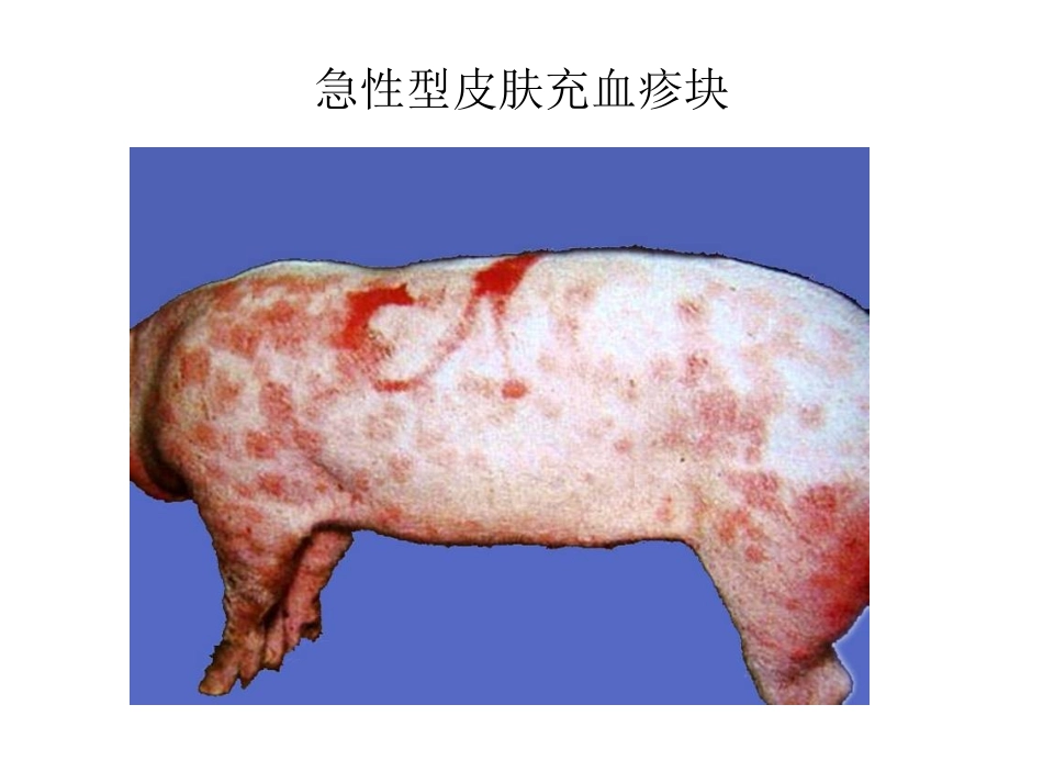 人工接种24小时后皮肤出现的疹块重点_第3页