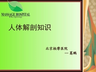 人体解剖知识：四肢骨、骨连接概述、颅骨连接、