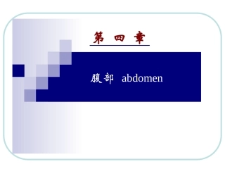 人体结构 腹部