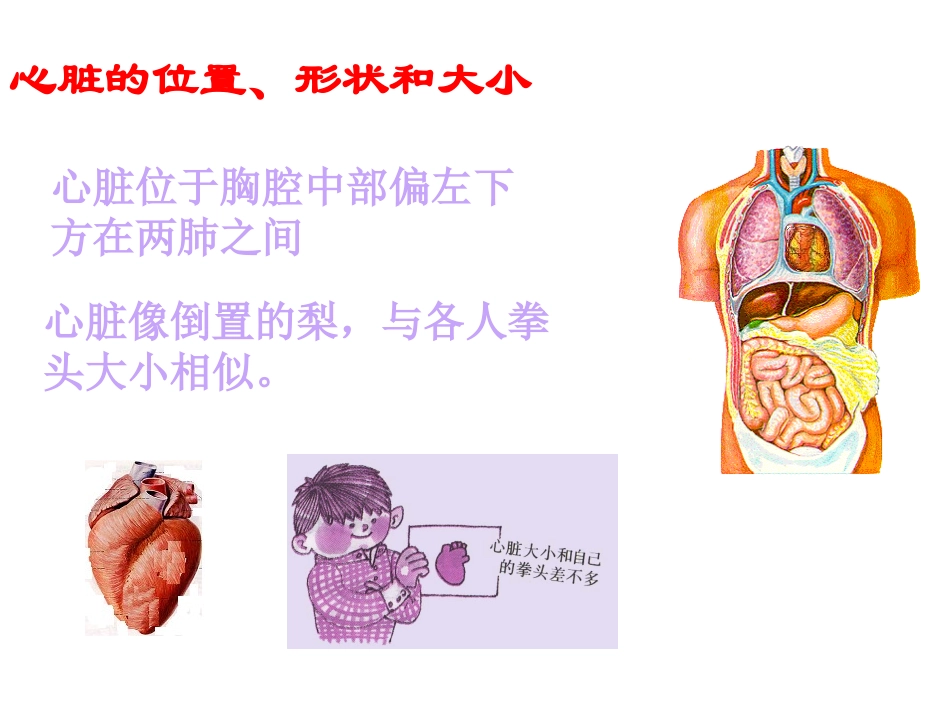 人体维持内环境稳定(一)_第3页