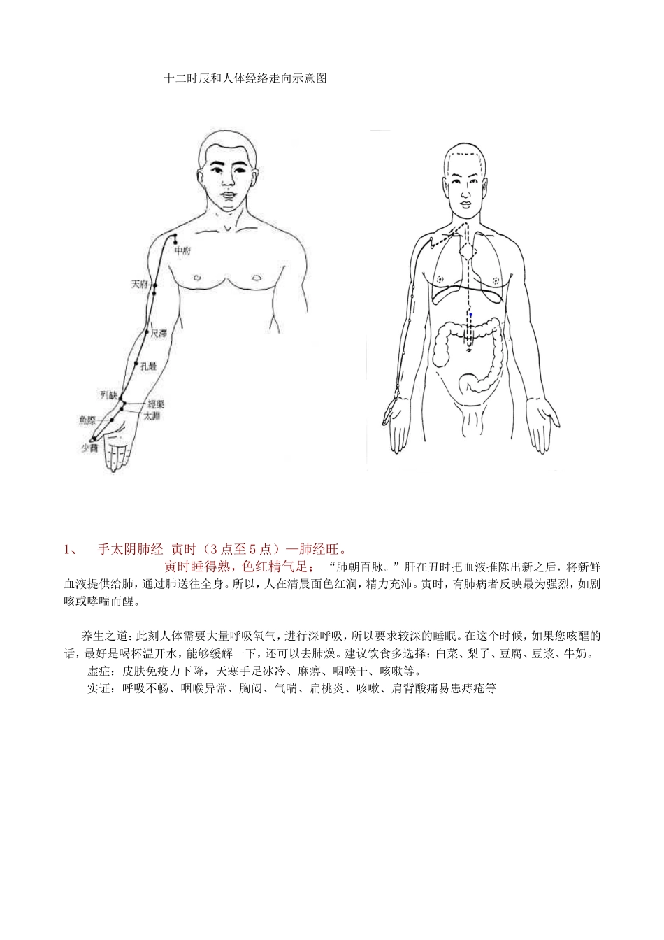人体经络穴位走向_第1页