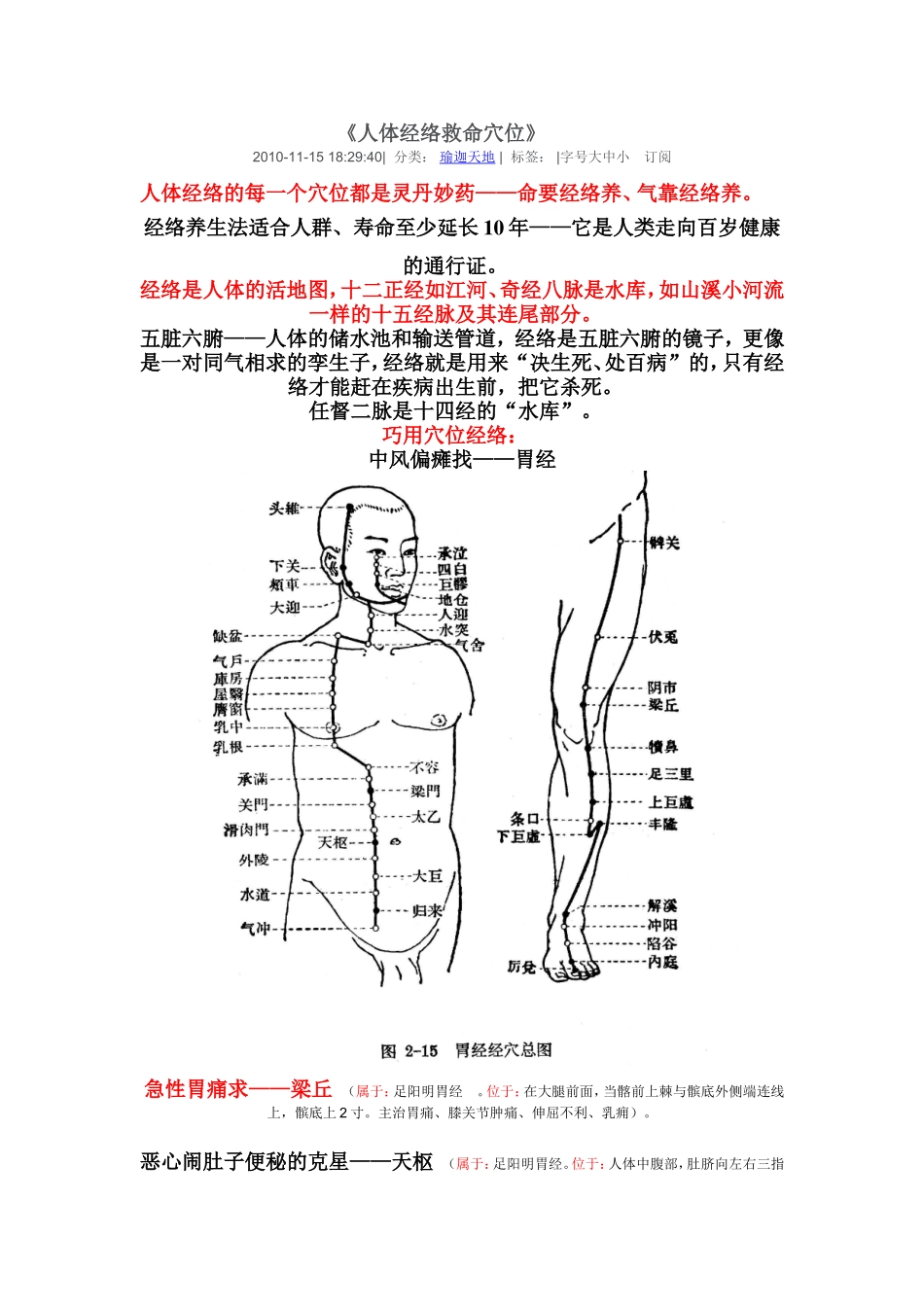 人体经络救命穴位_第1页