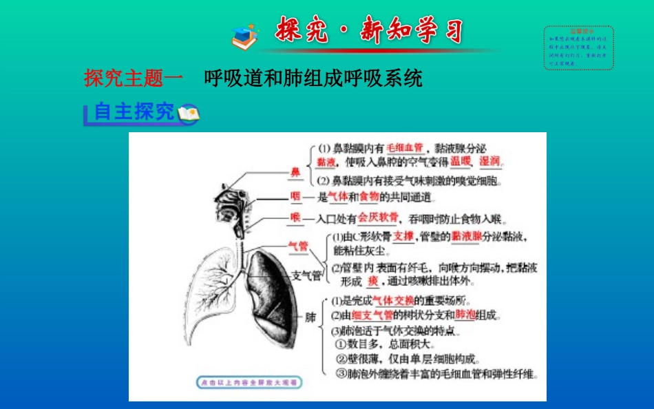 人体细胞获得氧气的过程_第2页
