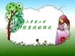 人体神经系统的组成