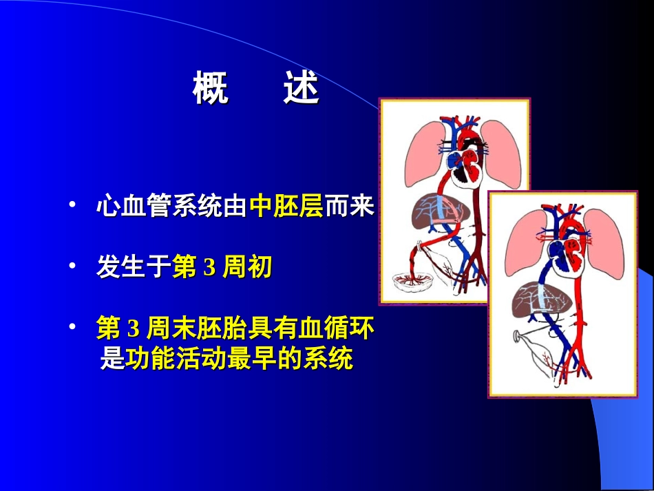 人体组织学和胚胎学(之心脏发生)_第2页