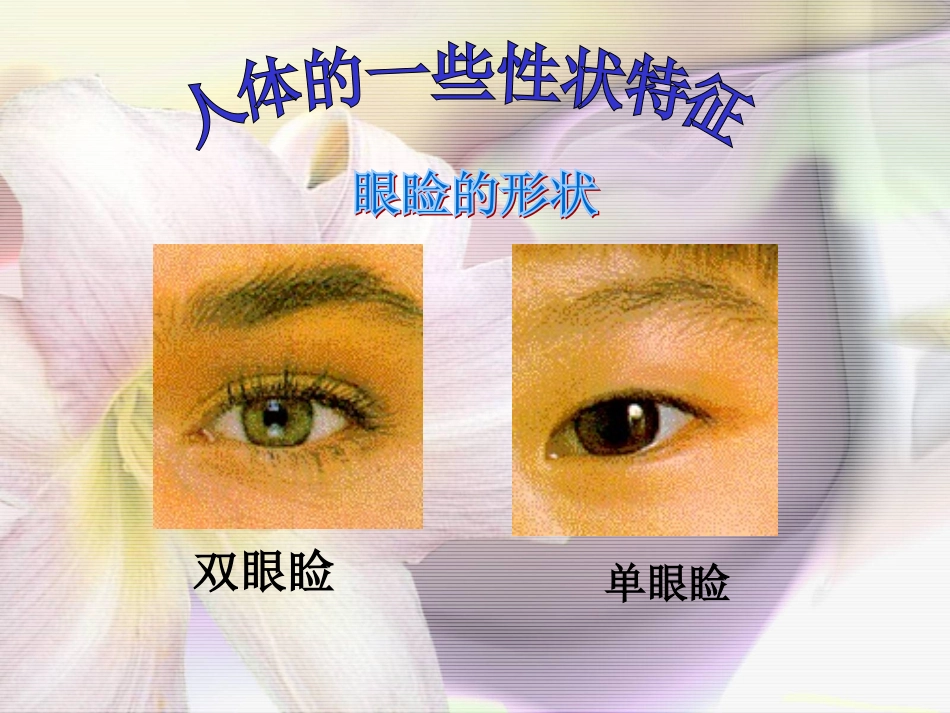 人体的性状和遗传现象_第3页
