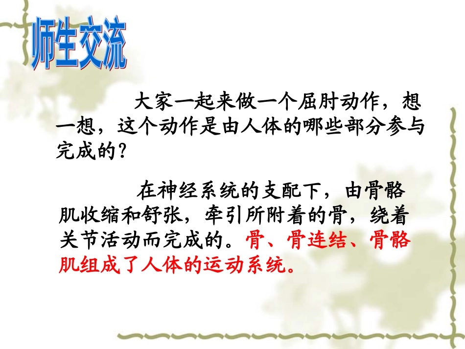 人体的支持与运动_第2页