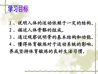 人体的支持与运动