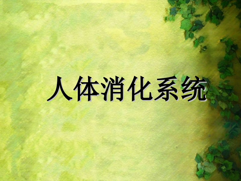 人体消化系统_第1页