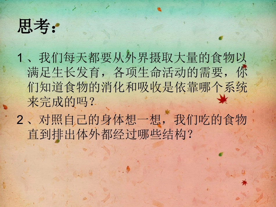 人体消化系统_第2页
