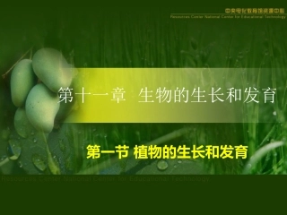 第一节-植物的生长和发育(第一课时)(2014年7月28日)