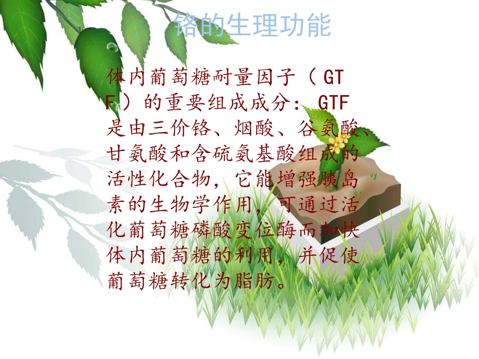 人体微量元素铬_第2页